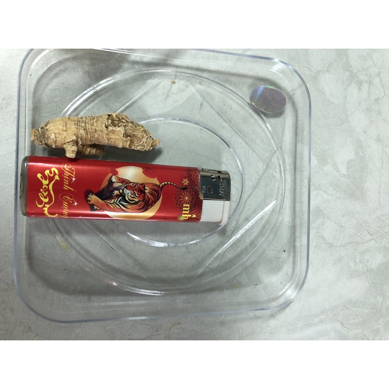 Sâm Hoa Kỳ dạng củ to