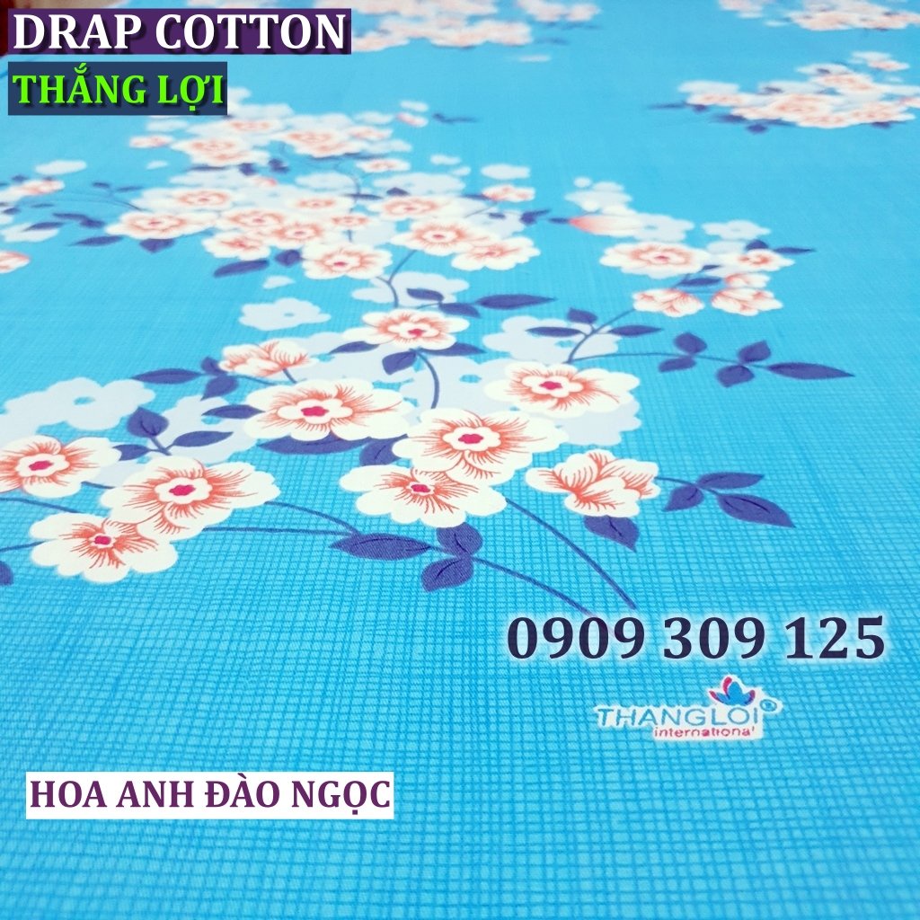 bộ ga cotton Thắng lợi chính hãng ( 4 món) IN LOGO THẮNG LỢI màu HOA ANH ĐÀO NGỌC