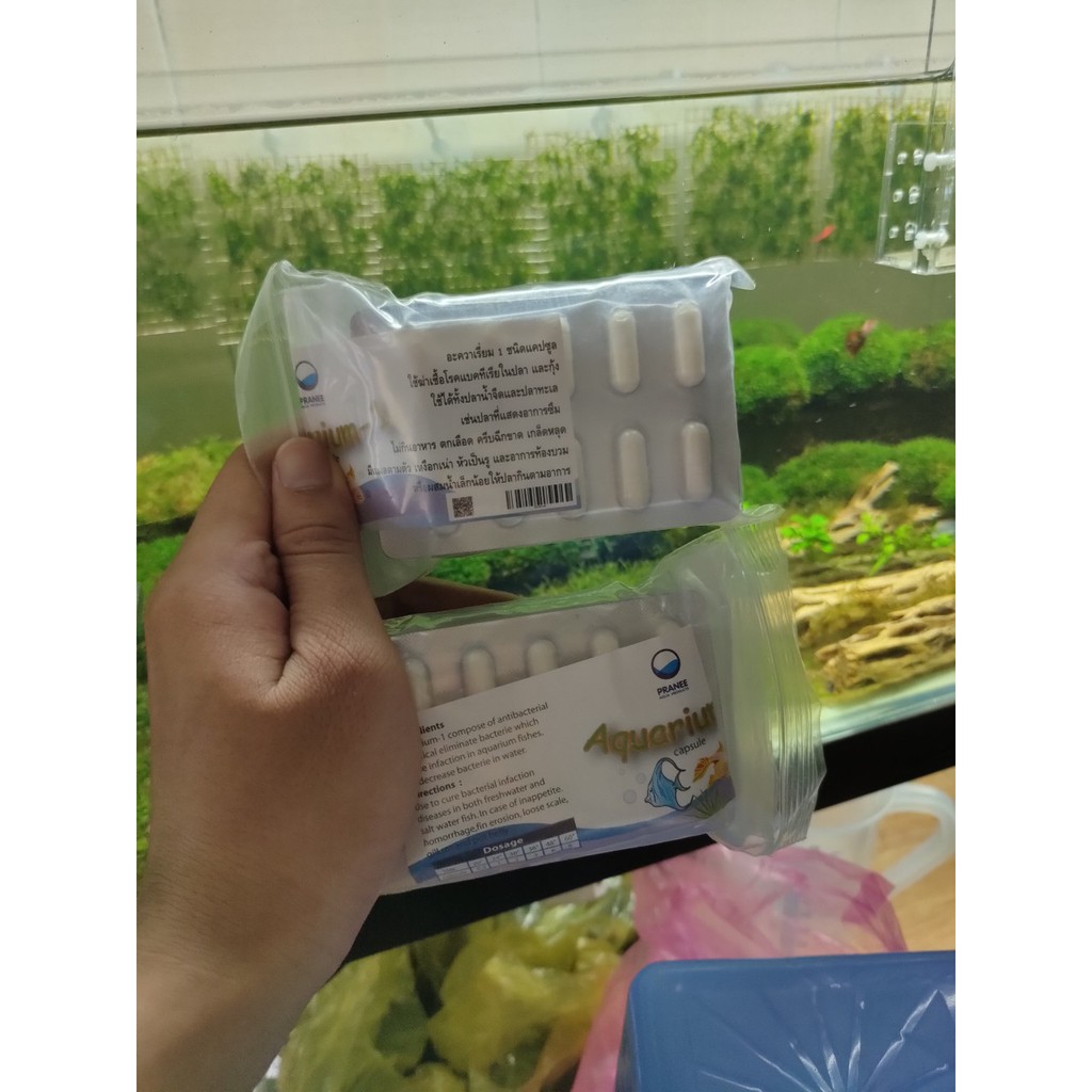 Aquarium-1 đặc trị tép chết lai rai