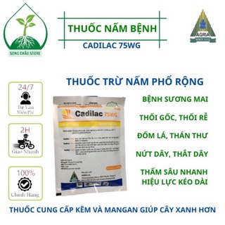Cadilac 75wg - 100 gam thuốc trừ nấm phổ rộng