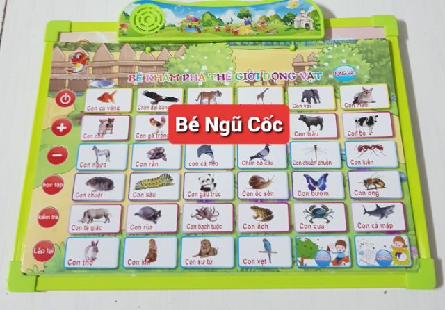 Bảng học thông minh phát âm tiếng anh - tiếng việt 11 chủ đề kèm bảng viết