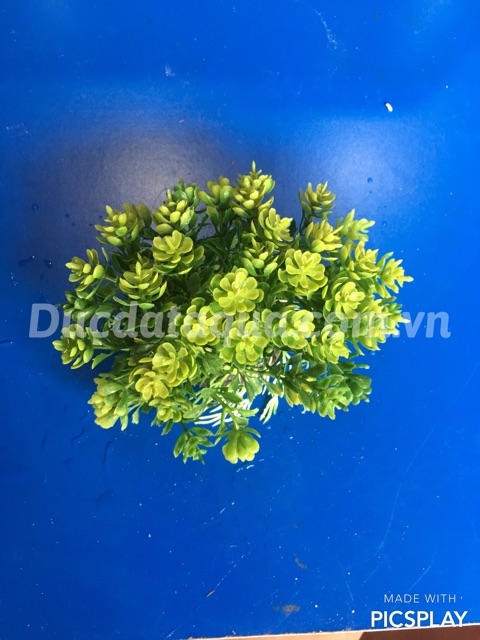 Cây nhựa trang trí , nội thất , bể cá
