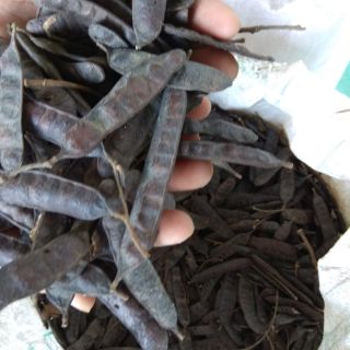100gr Bột bồ kết nguyên chất nhà tự xay