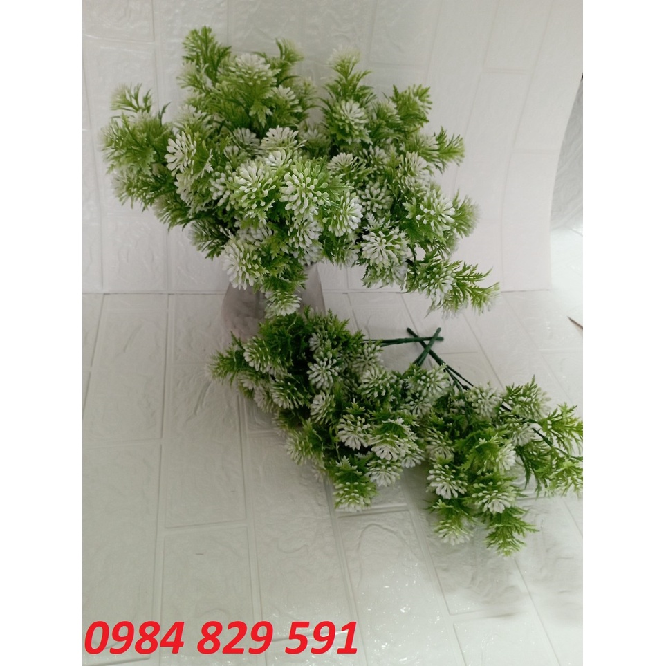 Cụm điểm hoa đá