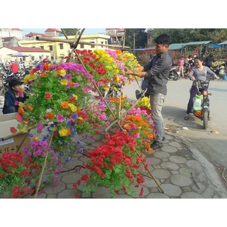 Combo 5 bộ Hoa Giấy Lụa
