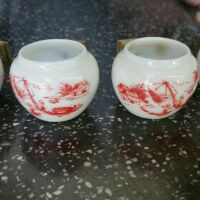 Cóng sứ chim chích chòe đất