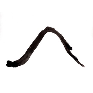 Gỗ lũa mini (20-30 cm)