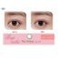 Kính áp tròng có màu 1 ngày SEED 1day Eye coffret  (combo 8 miếng tang 2)