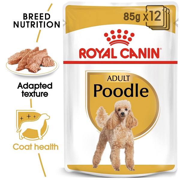 Hạt ướt dành cho Poodle trưởng thành Royal canin Poodle adult wet