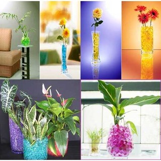 COMBO - 10 túi đất sinh học trồng cây