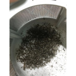 Đèn bắt muỗi thông minh Unimax