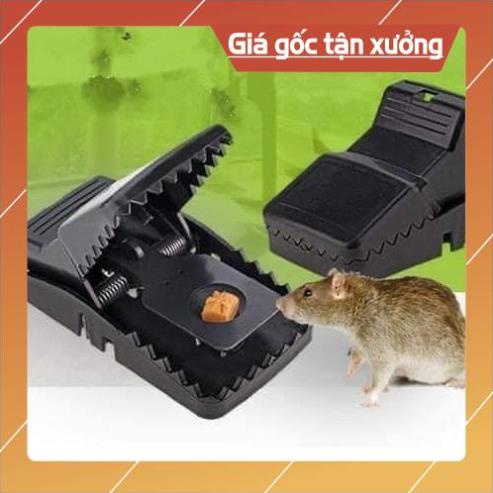 fgg ❌🐭❌🐭BẪY CHUỘT SIÊU DÍNH Kẹp bẫy chuột thông minh