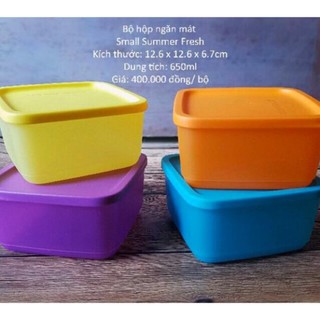 Tupperware - Bộ trữ mát 4 hộp small square 650ml