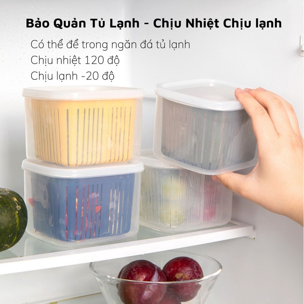 Hộp Bảo Quản Hành Tỏi Trong Tủ Lạnh Hình Vuông  Bằng Nhựa Đa Năng Tách Nước Có Ngăn Chia Tiện Lợi 0503