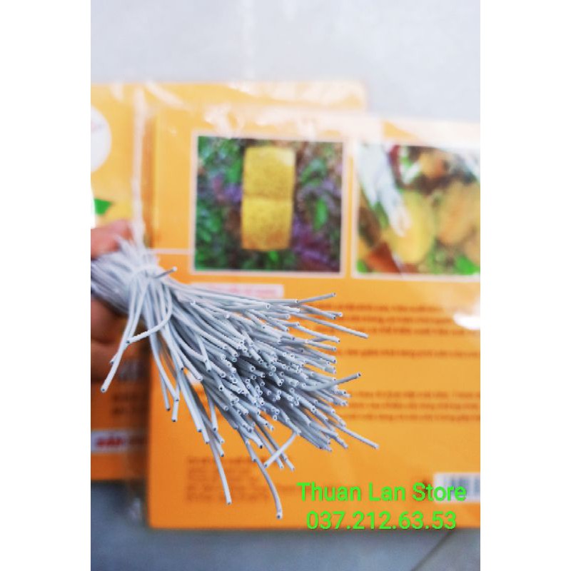 Miếng Dán Bẫy Ruồi Vàng, Côn Trùng Gây Hại Lan, Cây Cảnh