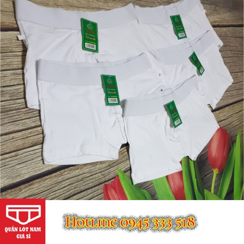 Bộ 5 quần boxer nam - Trắng tinh