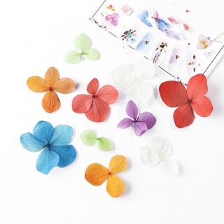 phụ kiện nail hoa khô trang trí móng