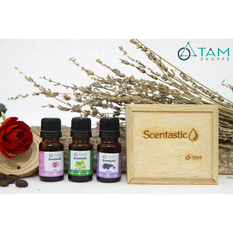 [TD THIÊN NHIÊN] Combo TD02: Bộ 3 chai tinh dầu thiên nhiên 10ml ‪SCENTASTIC kèm hộp gỗ