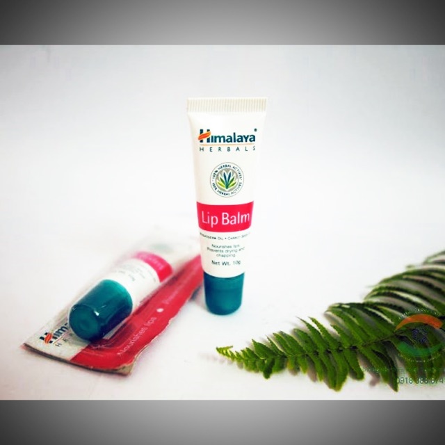 Son dưỡng môi mầm lúa mạch himalaya