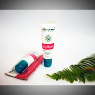 Son dưỡng môi mầm lúa mạch himalaya