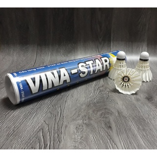 Hàng Real Cầu lông Vinastar