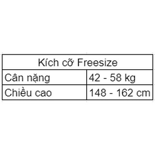 Bộ đồ lót thư ký cho dân văn phòng H9