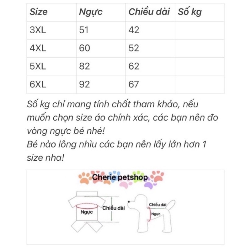 Áo hoạt hình SIZE TO - Bigsize cho chó