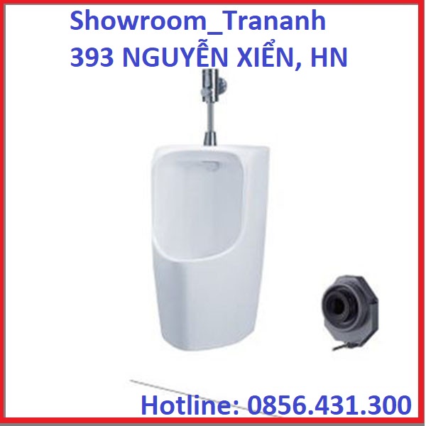 BỒN TIỂU NAM TOTO UT557T, BÔ TIỂU NAM TREO TƯỜNG, BÔ TIỂU ĐỨNG TOTO.