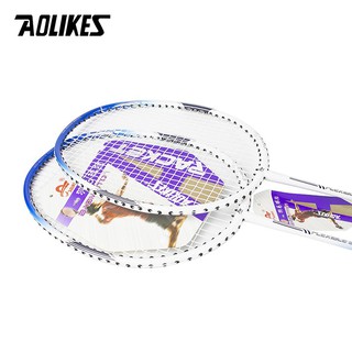 Vợt Cầu Lông AOLIKES NANO-6631