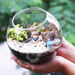 Bình thủy tinh làm Terrarium: mẫu bóng đế 13,5 cm
