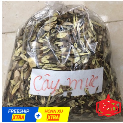 Cây mực  khô 1KG hàng chuẩn loại 1