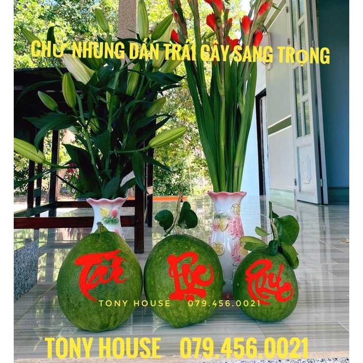 [TẾT] 4 DECAL DÁN DƯA HẤU / TRÁI CÂY SIÊU SANG TRỌNG - CÓ KEO DÁN SẴN🍎 | BigBuy360 - bigbuy360.vn