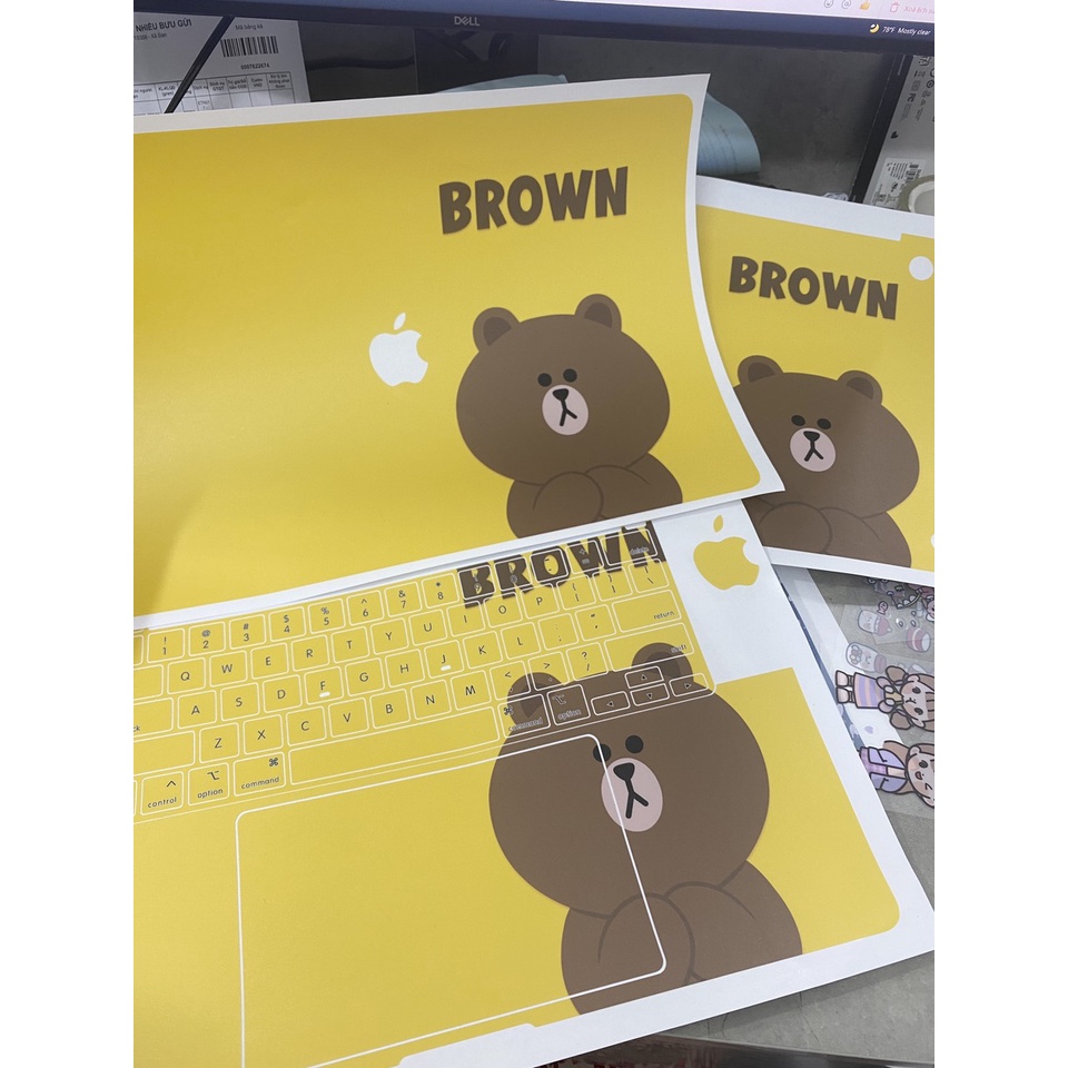 Skin Dán Laptop - Mẫu Gấu Brown - Mã KS 020