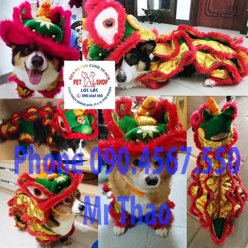 Áo quần con Lân cho Chó Mèo , Quần Áo Chó Mèo cho Pet Khổng Lồ , Áo Lân cho Thú Cưng