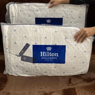 Ruột gối, 2 ruột gối nằm, gối hilton kích thước 45x65cm Giá Rẻ
