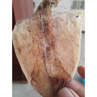 0,5 kg khô mực size 190- 200 con/ kg