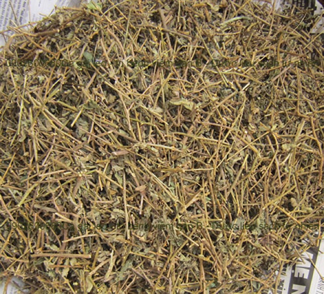 Cà gai leo khô túi 1kg