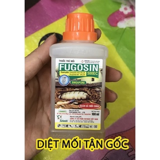 Thuốc diệt mối mọt