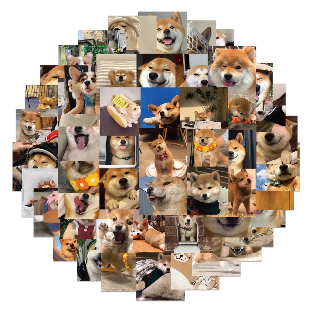 Bộ 55/25/10 Sticker Hoạt Hình Corgi Shiba Dán Laptop