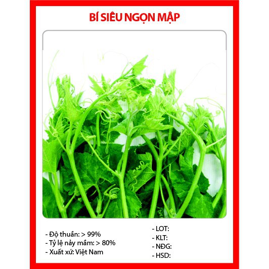 [TOP] Hạt Giống Bí Siêu Ngọn Mập - 10 gram [ Tặng Kèm 1 Viên Nén Xơ Dừa ]