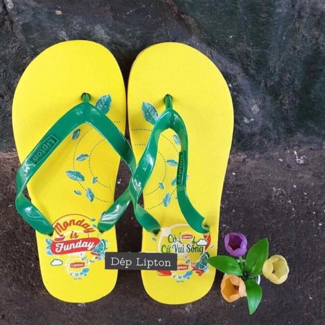 Dép kẹp nữ