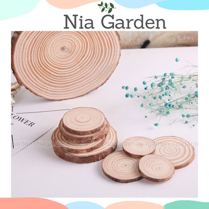 Miếng gỗ decor mini trang trí nhà cửa vườn chậu cây Nia Garden N5