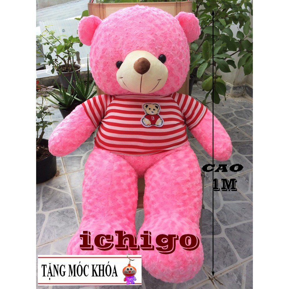 GẤU BÔNG TEDDY khổ vải 1m2 màu Hồng ĐẢM BẢO 100% GÒN