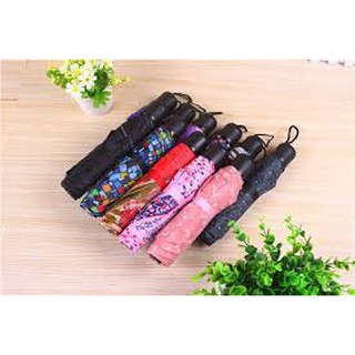 DÙ ĐI MƯA- XẾP GỌN GÀNG