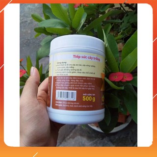 Thuốc kích thích ra rễ n3m loại 500g