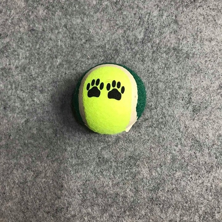 Đồ chơi cho chó bóng tenis