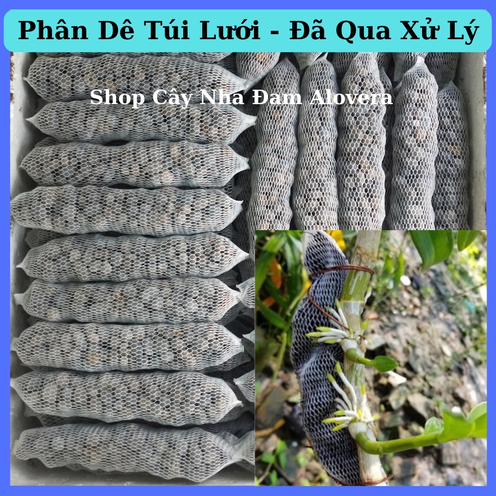 Phân Dê Túi Lưới ủ Vôi