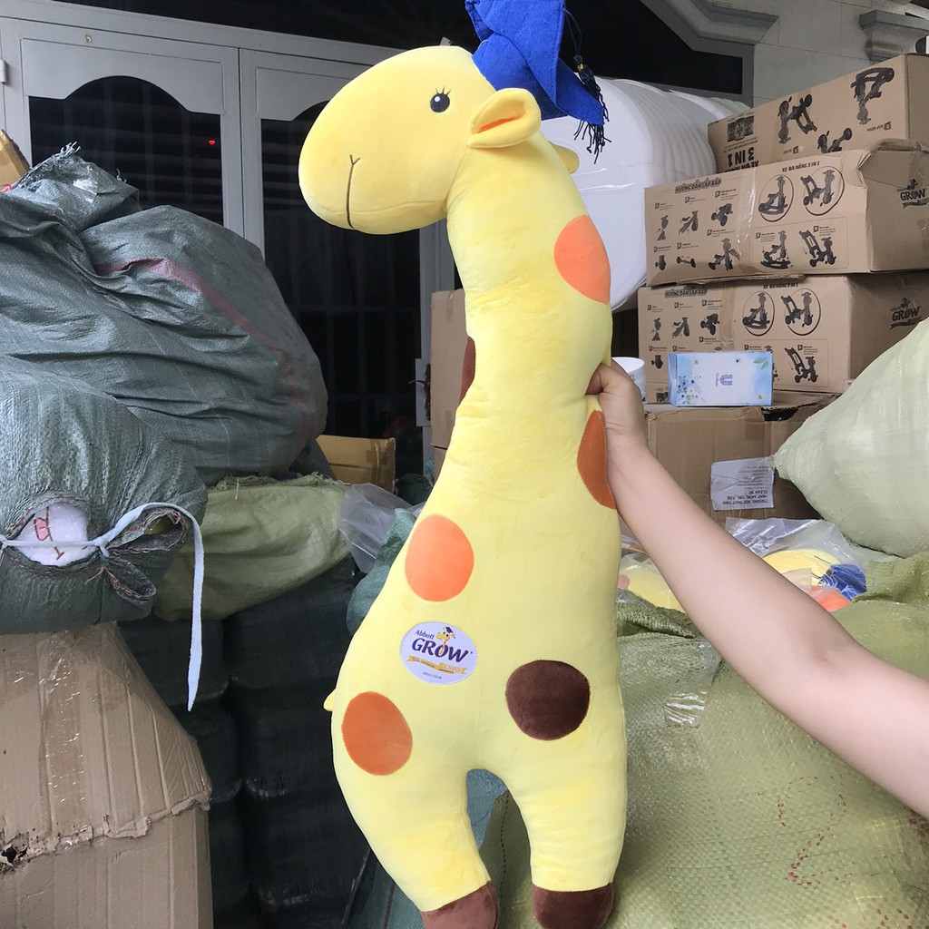 THÚ BÔNG HƯƠU CAO CỔ