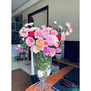 Bình thủy tinh cắm hoa, bình đựng nước hoa quả