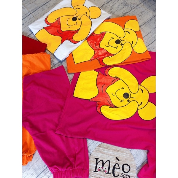[Chuyên Sỉ] Bộ thun gấu ngố hình in lụa chất thun cotton - hàng đẹp may kĩ chuẩn shop